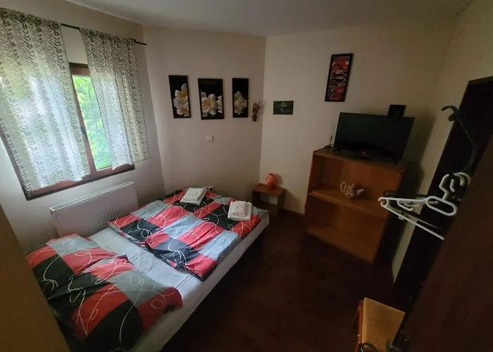 Max Simek 3* Острава