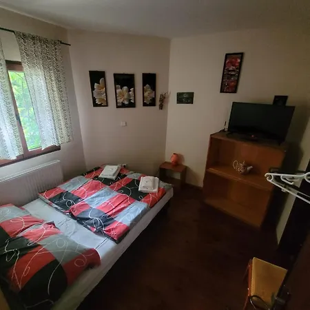 马科斯西梅克酒店 3* 俄斯特拉发