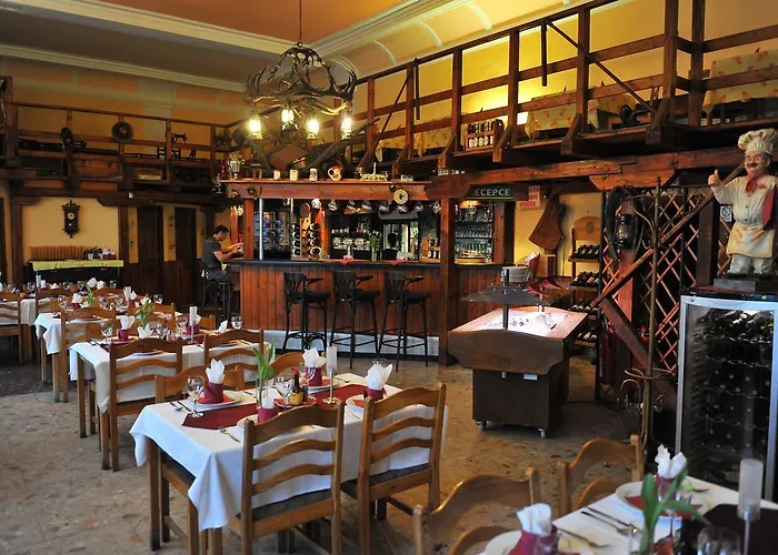 马科斯西梅克酒店 俄斯特拉发