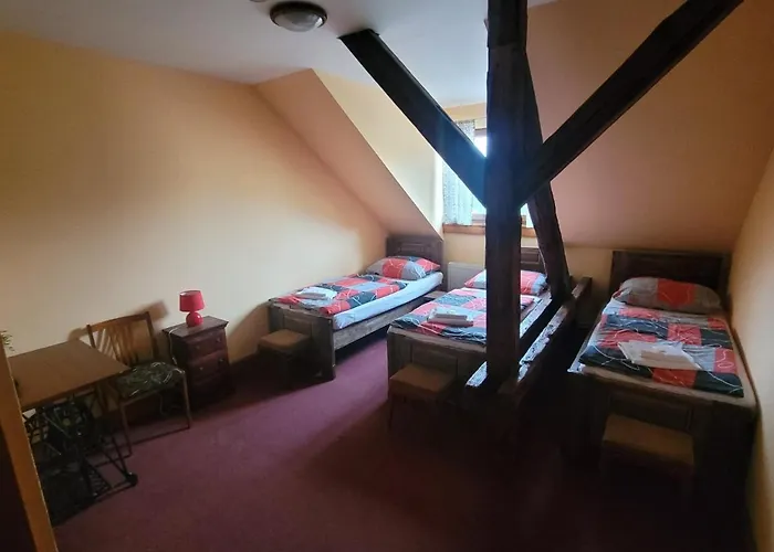 马科斯西梅克酒店 俄斯特拉发