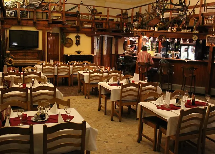 马科斯西梅克酒店 俄斯特拉发