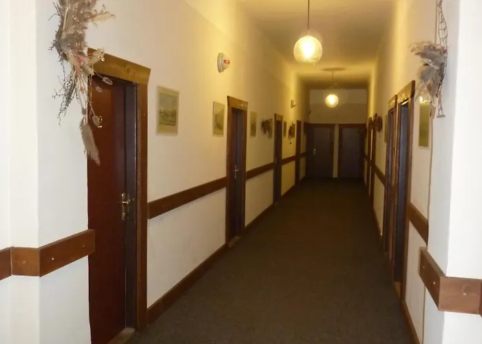 马科斯西梅克酒店 俄斯特拉发